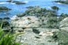 Seals at Ohau Point

Trip: New Zealand
Entry: The Kaikoura Coast and Christc
Date Taken: 08 Mar/03
Country: New Zealand
Viewed: 1358 times